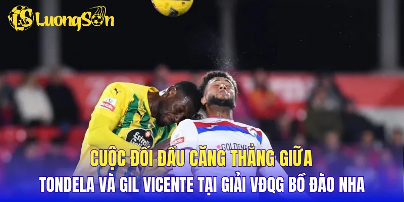 Cuộc đối đầu căng thẳng giữa Tondela và Gil Vicente tại giải VĐQG Bồ Đào Nha