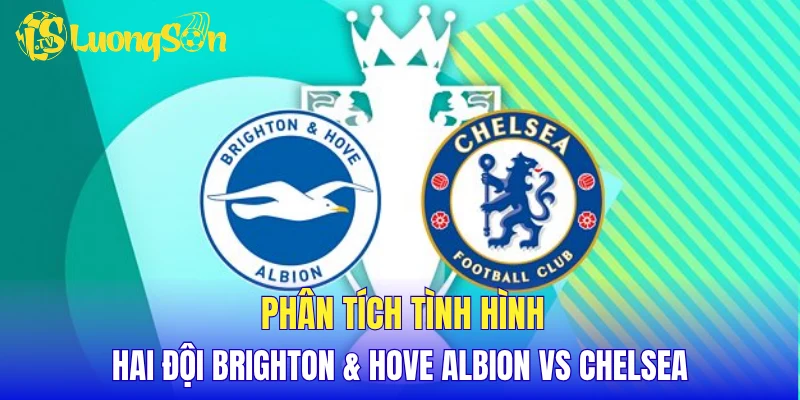 Phân tích tình hình hai đội Brighton & Hove Albion vs Chelsea