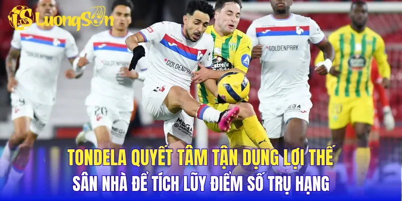 Tondela quyết tâm tận dụng lợi thế sân nhà để tích lũy điểm số trụ hạng