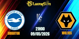 Brighton vs Wolves