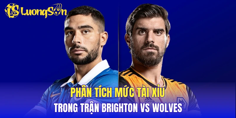 Phân tích mức tài xỉu trong trận Brighton vs Wolves