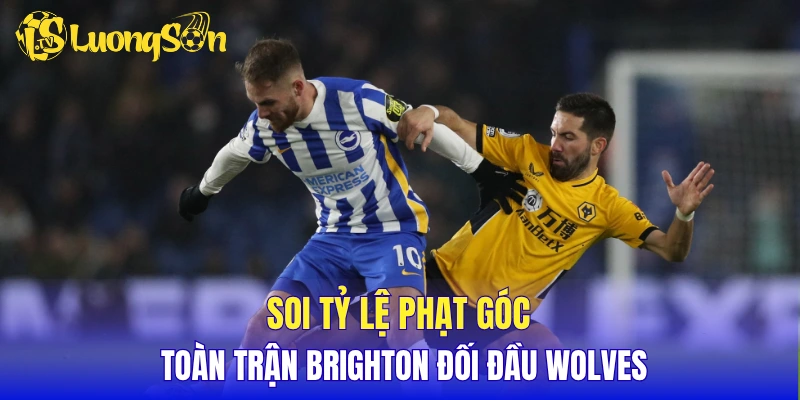 Soi tỷ lệ phạt góc toàn trận Brighton đối đầu Wolves