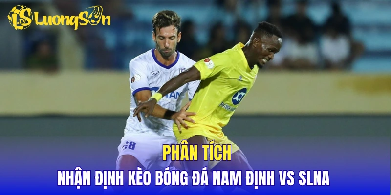 Phân tích, nhận định kèo bóng đá Nam Định vs SLNA 