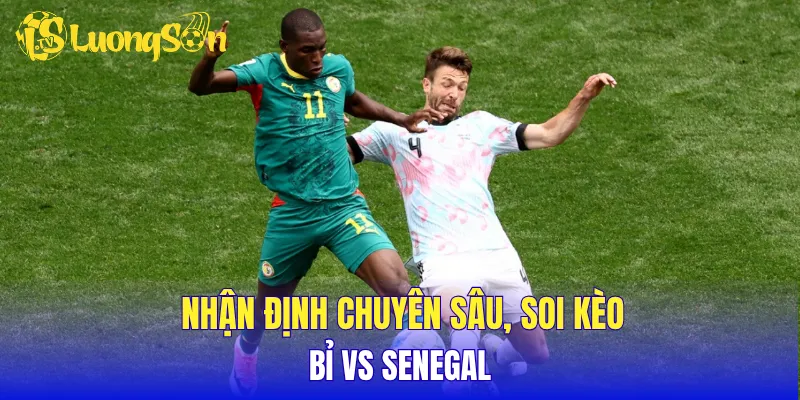 Nhận định chuyên sâu, soi kèo Bỉ vs Senegal